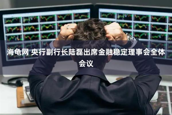 海龟网 央行副行长陆磊出席金融稳定理事会全体会议