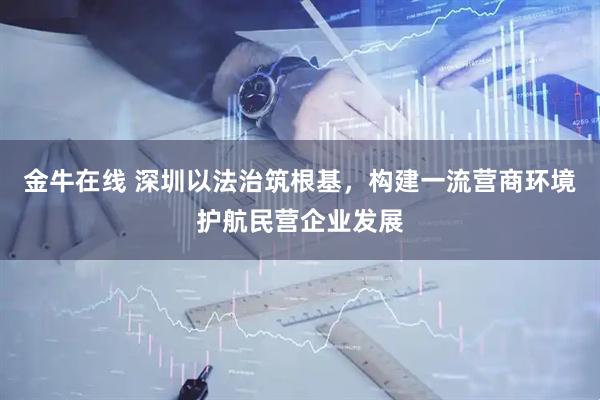 金牛在线 深圳以法治筑根基，构建一流营商环境护航民营企业发展