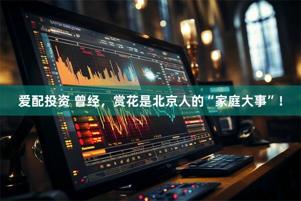 爱配投资 曾经，赏花是北京人的“家庭大事”！