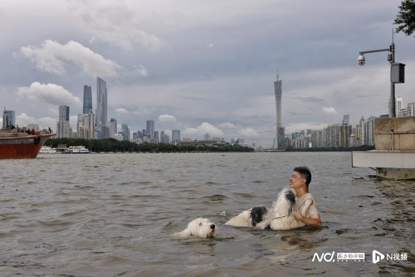 云管家 广东开启蒸煮模式，珠江广州段迎今年以来水位最高的天文大潮