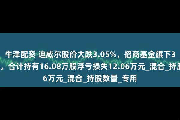 牛津配资 迪威尔股价大跌3.05%，招商基金旗下3只基金重仓，合计持有16.08万股浮亏损失12.06万元_混合_持股数量_专用